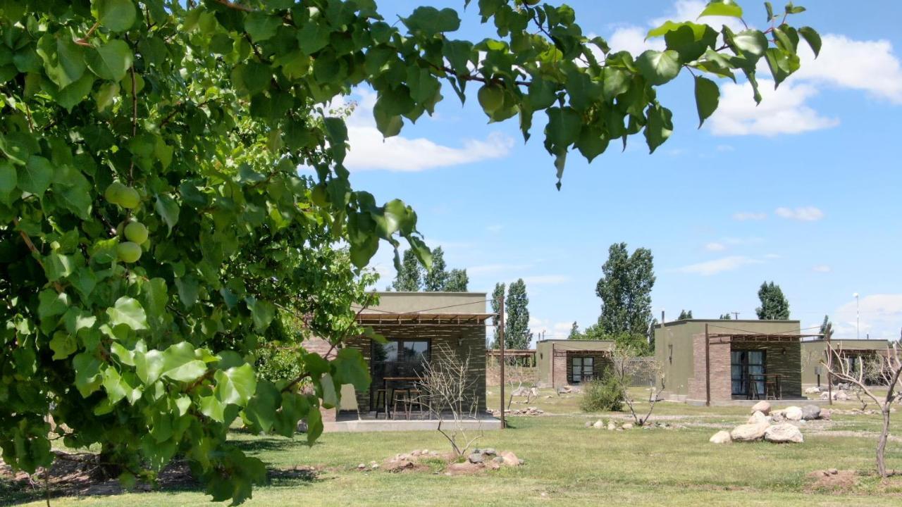 Maipú Complejo Turistico Chachingoヴィラ エクステリア 写真